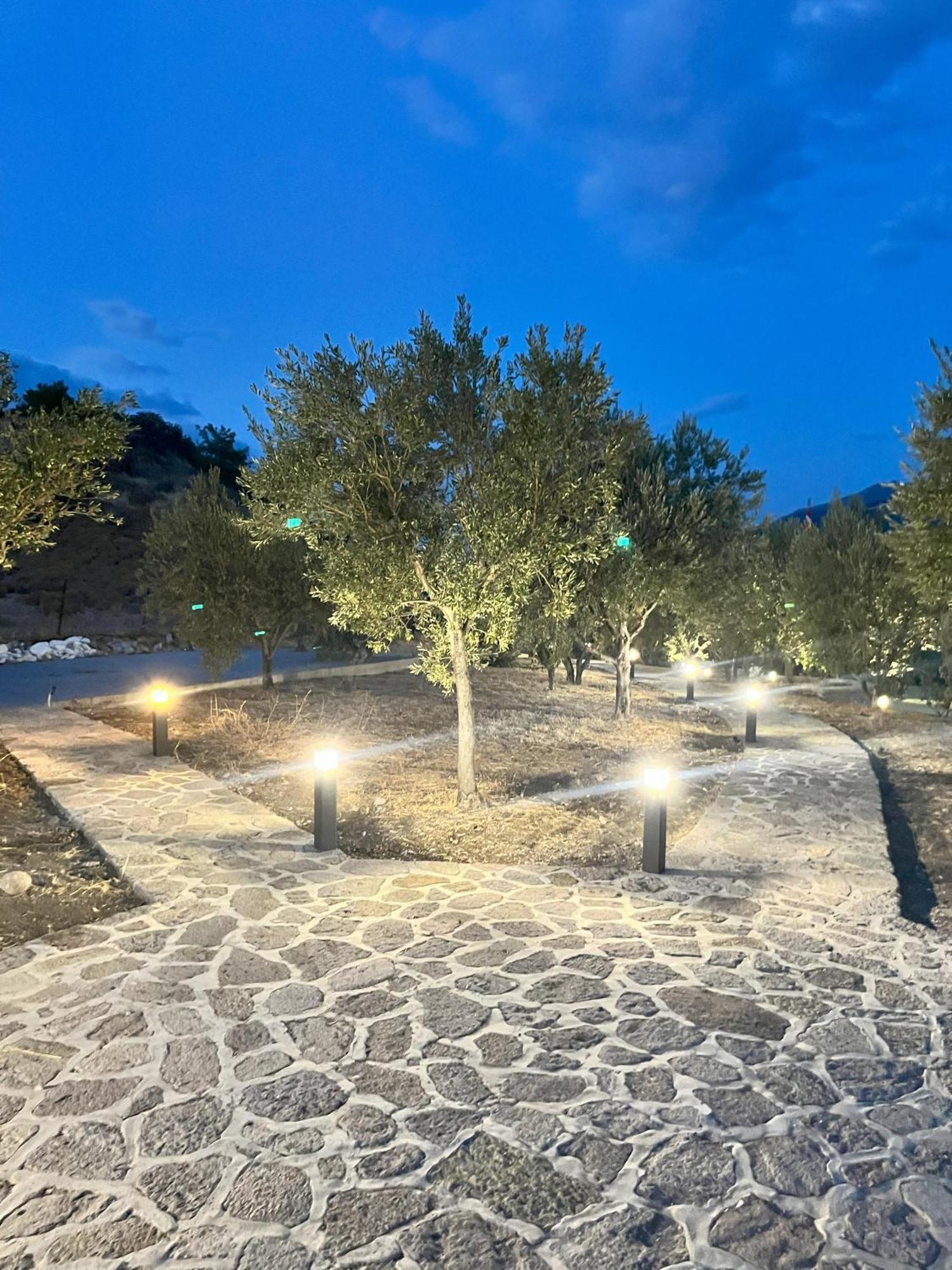 Hotel Defkalion Petra (Lesbos) Exterior foto